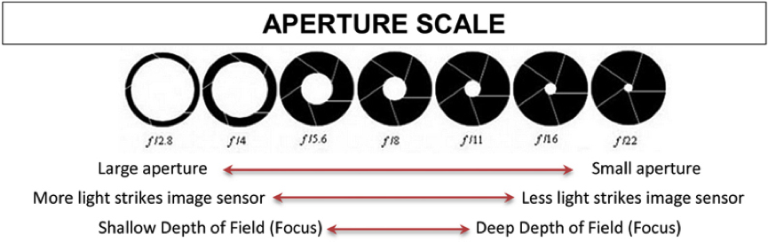 Camera aperture scale illustration