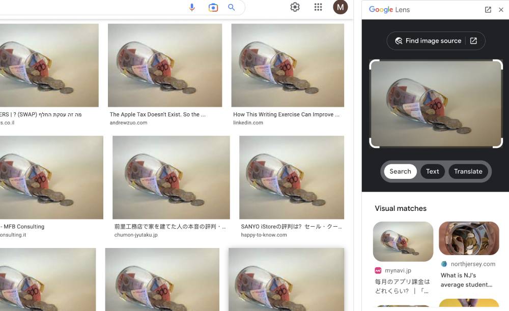 Google Lens reverse image search