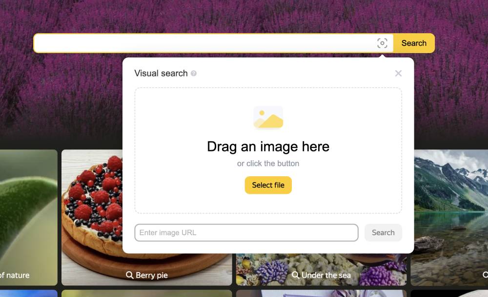 Image search with Yandex